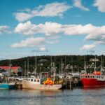Colorful fishing boats docked in a tranquil harbor in New Brunswick, Canada, on a sunny day.