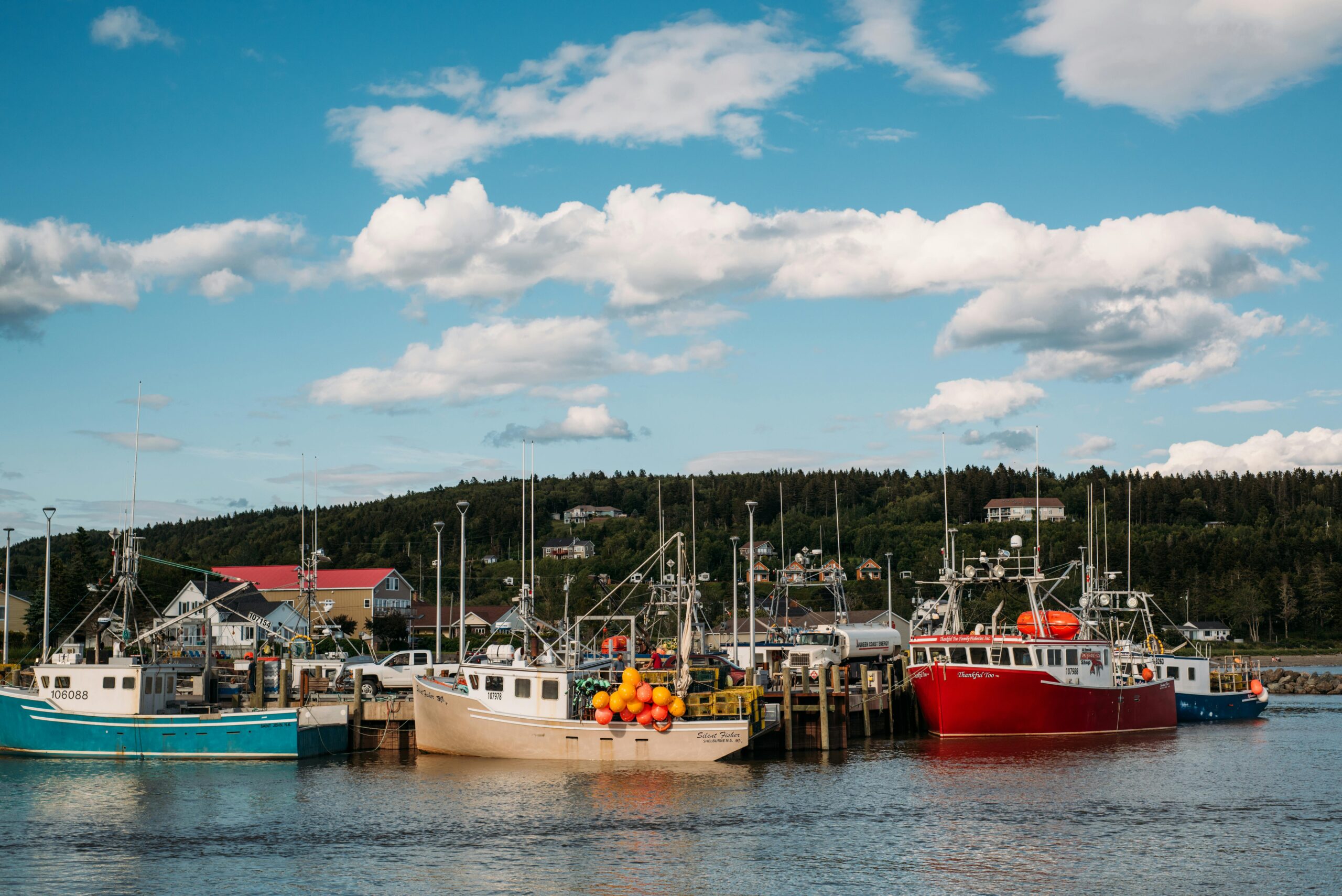Colorful fishing boats docked in a tranquil harbor in New Brunswick, Canada, on a sunny day.